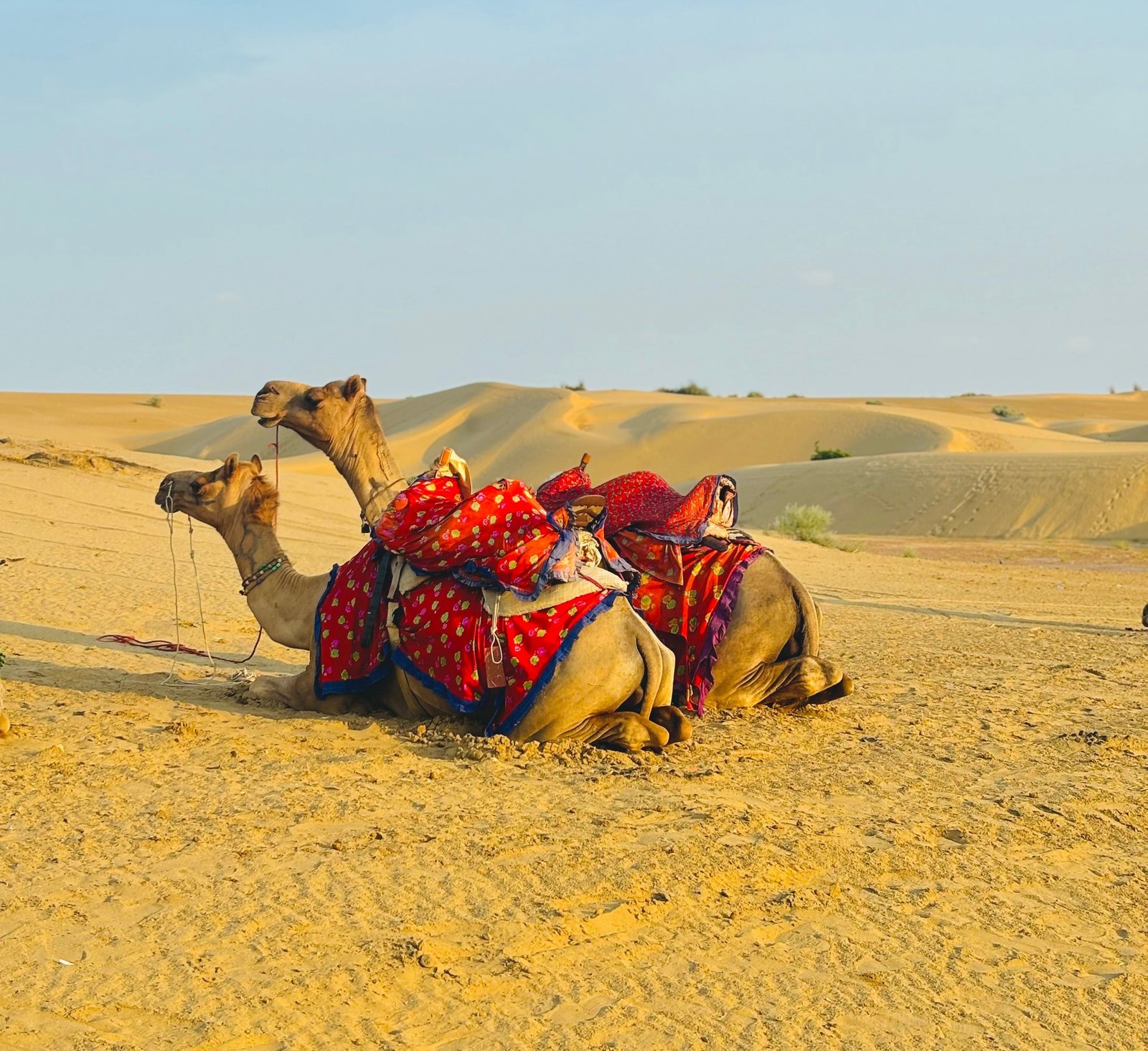 Rajasthan
