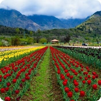 Gallery Photo 3