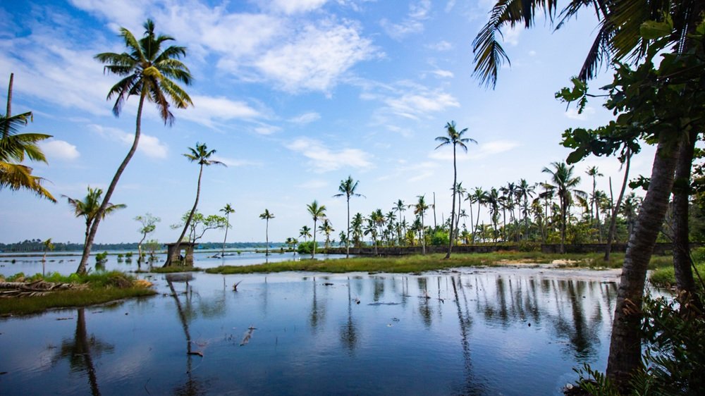 Luxurious Kerala Tour With Private Houseboat 5 Nights / 6 Days