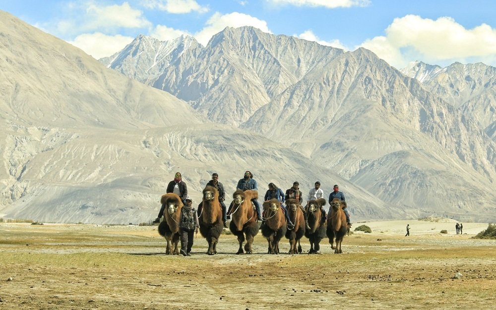 Leh  Hanle  Umling La Tour Package | 7 Nights and 8 Days